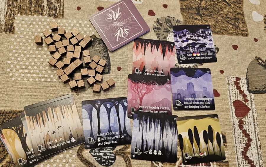 ACADEMIA DE DRAGONES 5